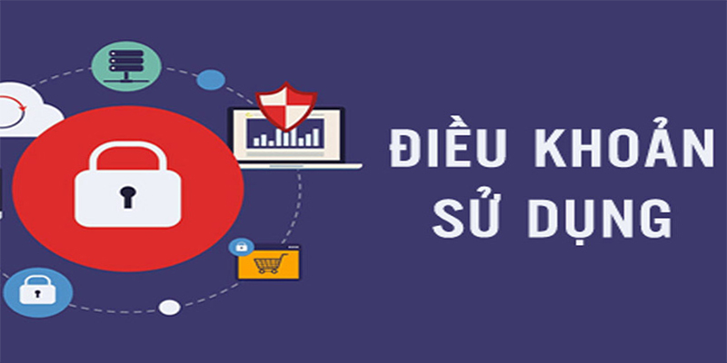 Điều khoản và điều kiện Ga338